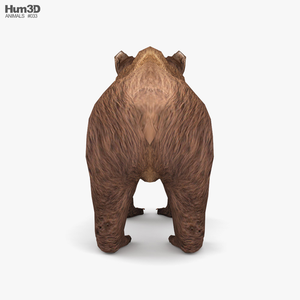 Bear - Rigged Blender 3d model | 3D model