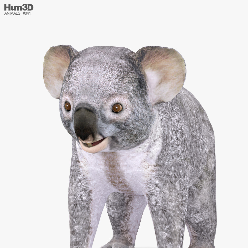 3D model Koala Cake VR / AR / low-poly