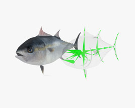 Atlantic Bluefin Tuna Low Poly Rigged Modello 3D