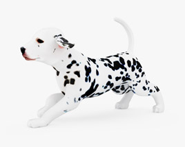 Dalmatian Puppy Low Poly Rigged Animated Modello 3D