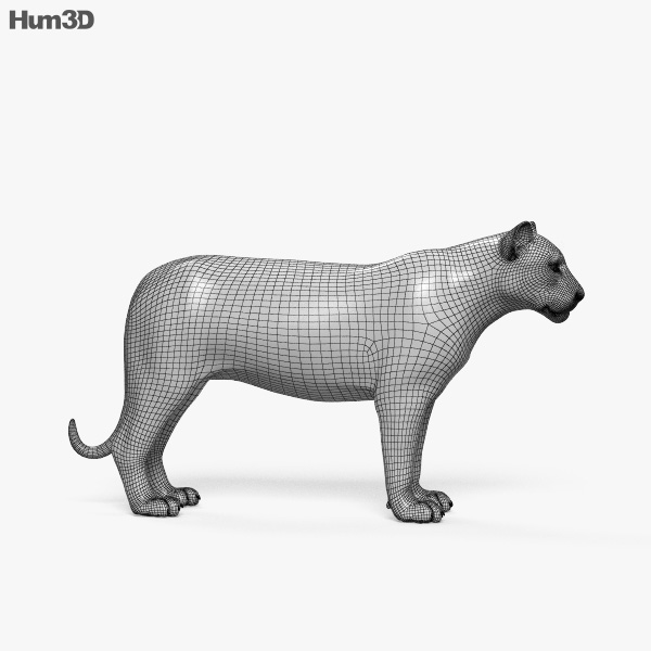 Tigre Deitado 3D model - Baixar Animais no