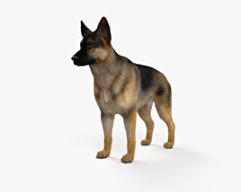 德國牧羊犬 3D模型