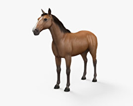 Лошадь 3D модель