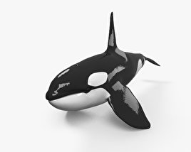 범고래 3D 모델 