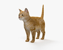 Рыжая кошка 3D модель