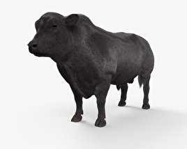 Абердин-ангусский бык 3D модель