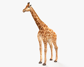Жираф 3D модель