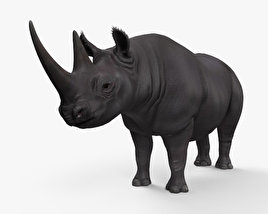 Чёрный носорог 3D модель