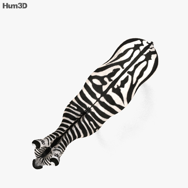 163,846 Animal Print Zebra Images, Stock Photos, 3D objects, & Vectors