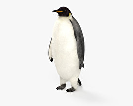 Императорский пингвин 3D модель