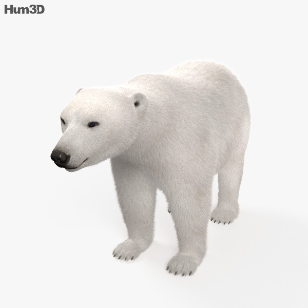 221,327 imágenes, fotos de stock, objetos en 3D y vectores sobre Animales  polares