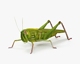 Grasshopper 3D model