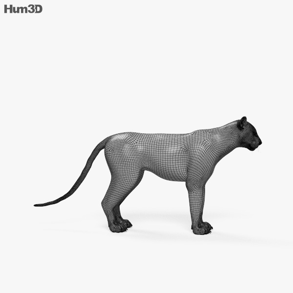 Jaguar, Panther, Cougar Prowling | D&D TTRPG Animal Miniature | Collective  Studio