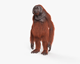 Orangután Modelo 3D