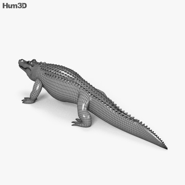 https://3dmodels.org/wp-content/uploads/Animals_HD/141_Alligator/Alligator_600_lq_0003.jpg