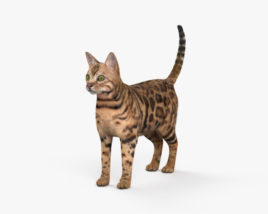 Bengala gato Modelo 3D