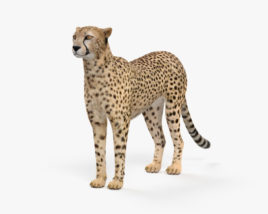 Gepard 3D-Modell