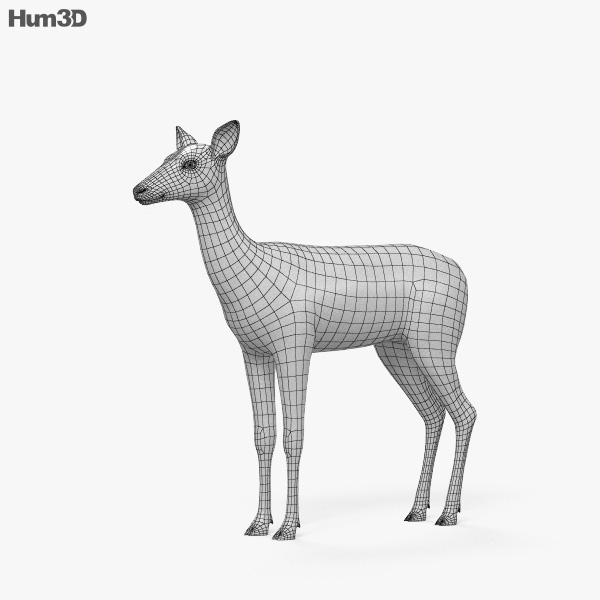 Corça 3D model - Baixar Animais no