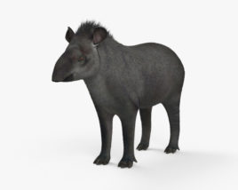 Tapirus Modello 3D