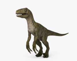 Velociraptor 3D-Modell