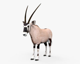Oryx 3D model