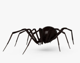 Павук Чорна Вдова 3D модель