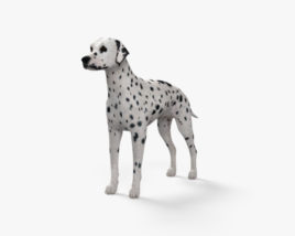 Dalmatian 3D model