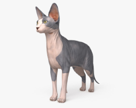 Сфинкс кот 3D модель