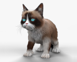 Grumpy Cat 3D модель