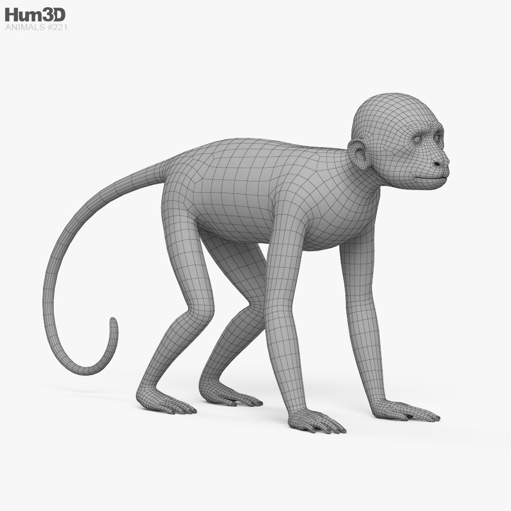 33.152 imagens, fotos stock, objetos 3D e vetores de Macaco grande