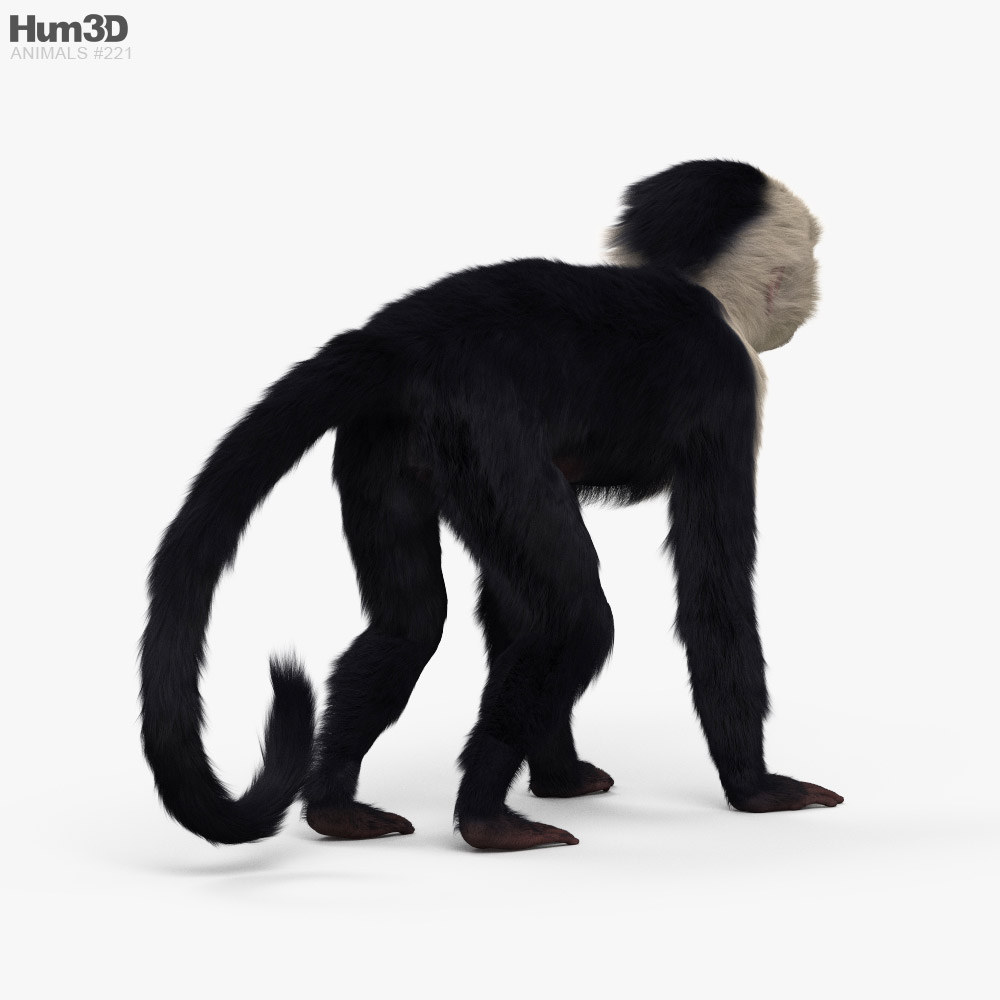 147.072 imagens, fotos stock, objetos 3D e vetores de Macaco do