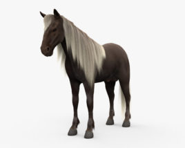 Лошадь Скалистых гор 3D модель