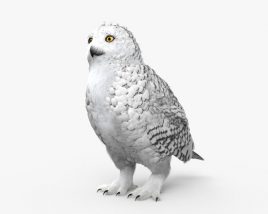 Белая сова 3D модель