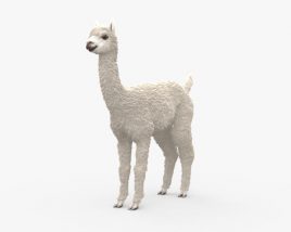 羊驼 3D模型