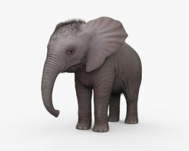 아기 코끼리 3D 모델 