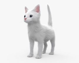 Белый котенок 3D модель