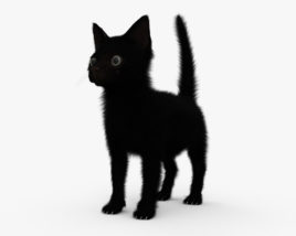 Black Kitten 3D model