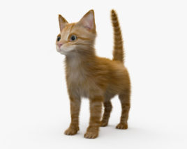 Ginger Kitten 3D model