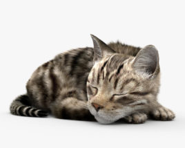 Спящая кошка 3D модель