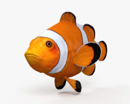 Clownfisch 3D-Modell