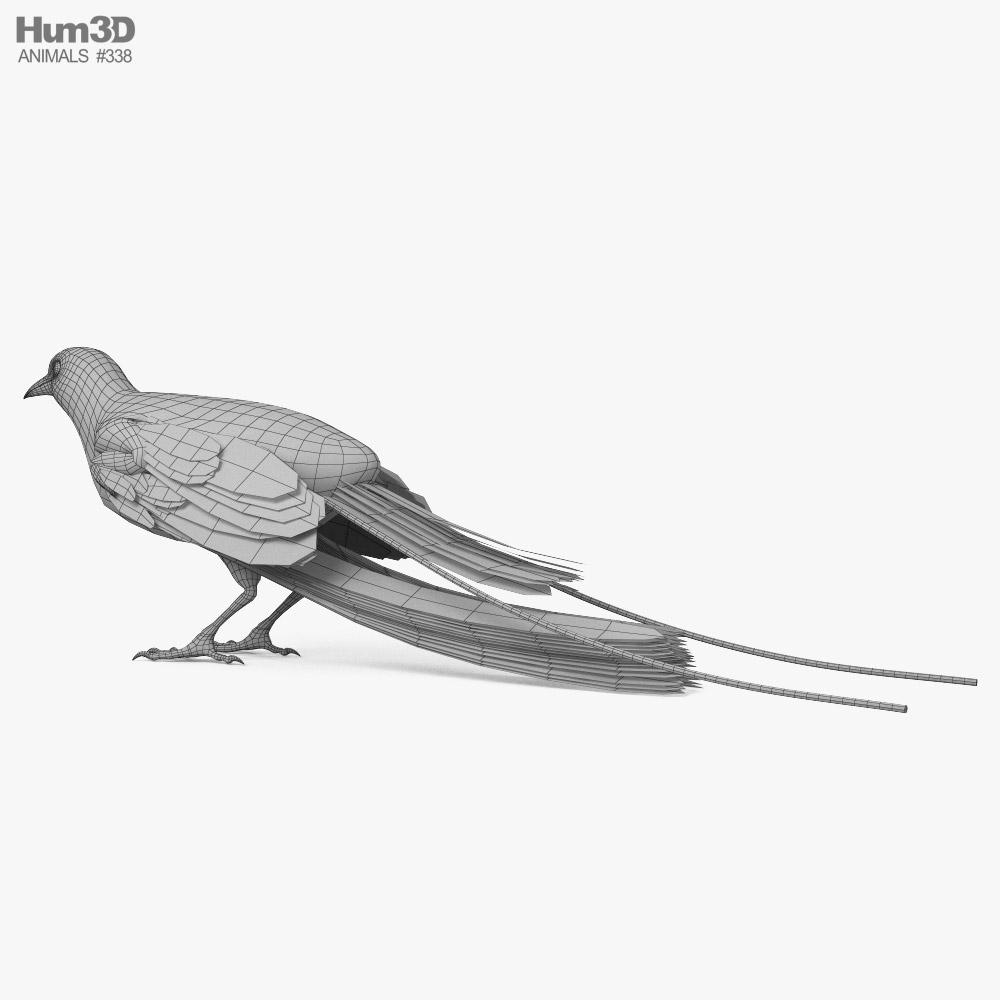 Модели Птица 3D для Скачивания | TurboSquid