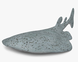 Калифорнийский гнюс 3D модель
