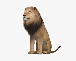 Сидящий лев 3D модель