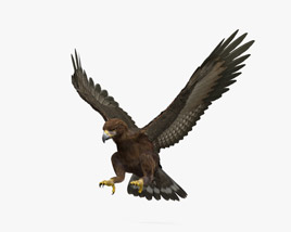 Golden Eagle Attacking 3Dモデル