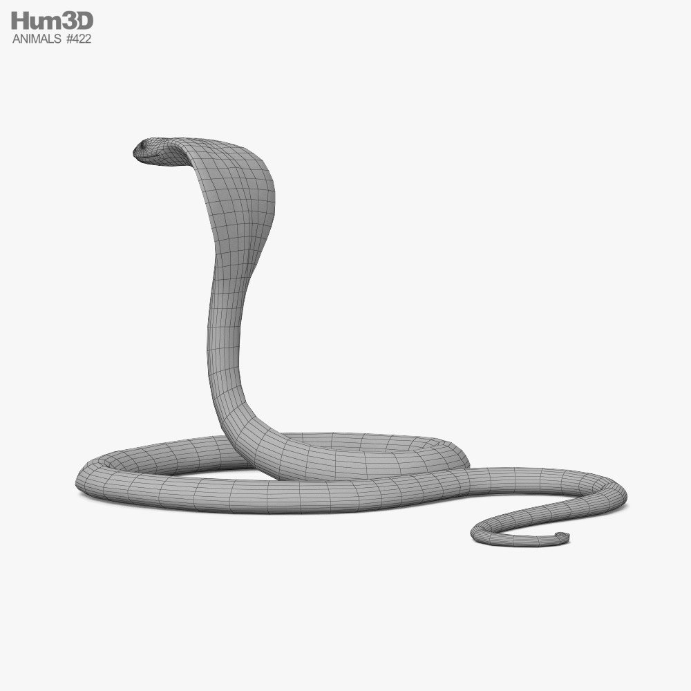 Cobra snake 3D Print Model