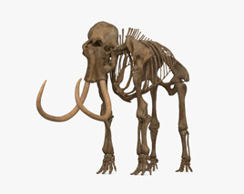 Скелет мамонта 3D модель