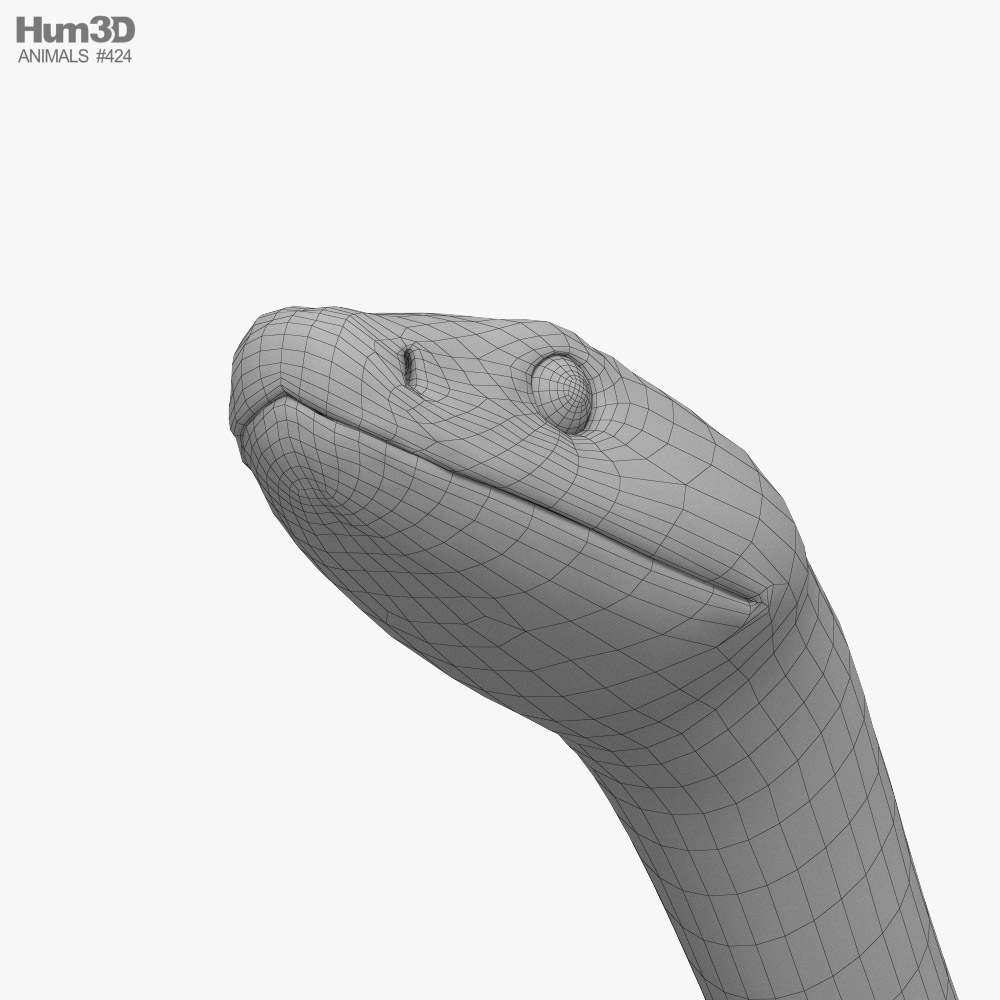 Modello 3D truccato del serpente del re nero del deserto Modello