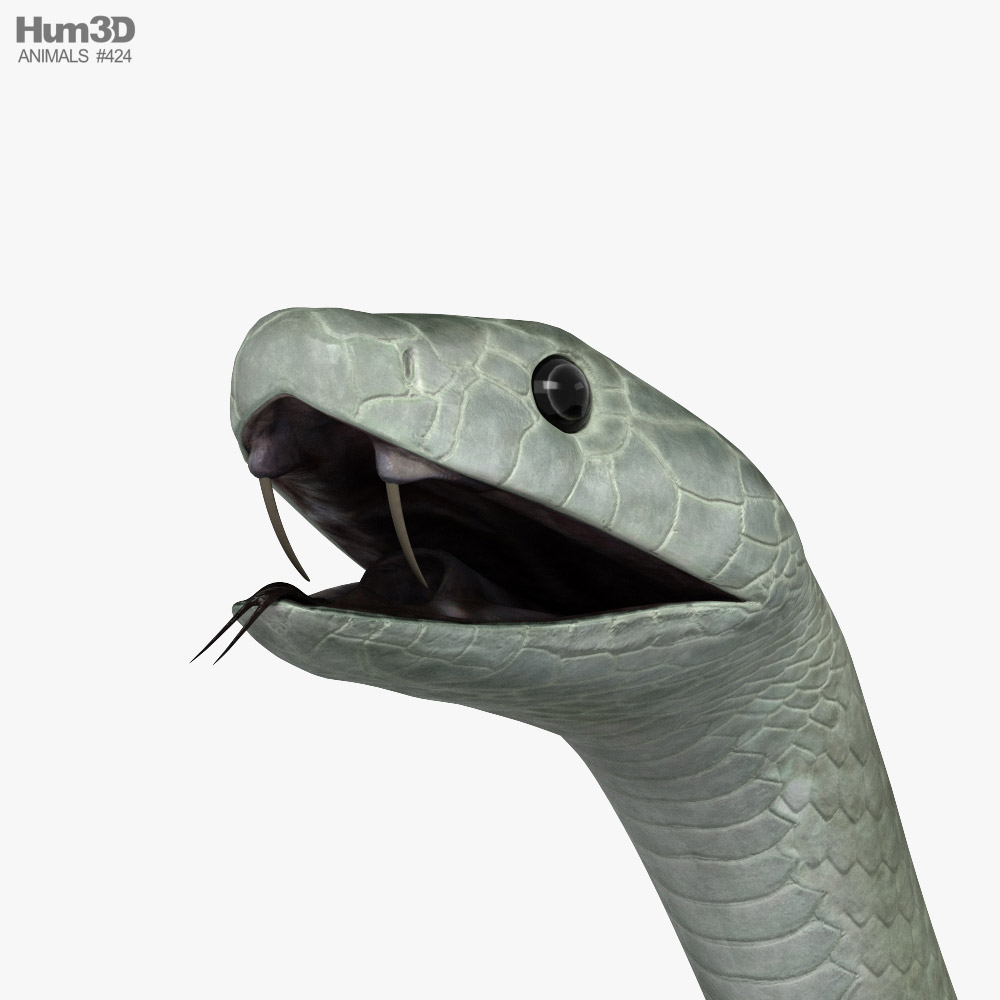 Modello 3D truccato del serpente del re nero del deserto Modello 3D $129 -  .max - Free3D