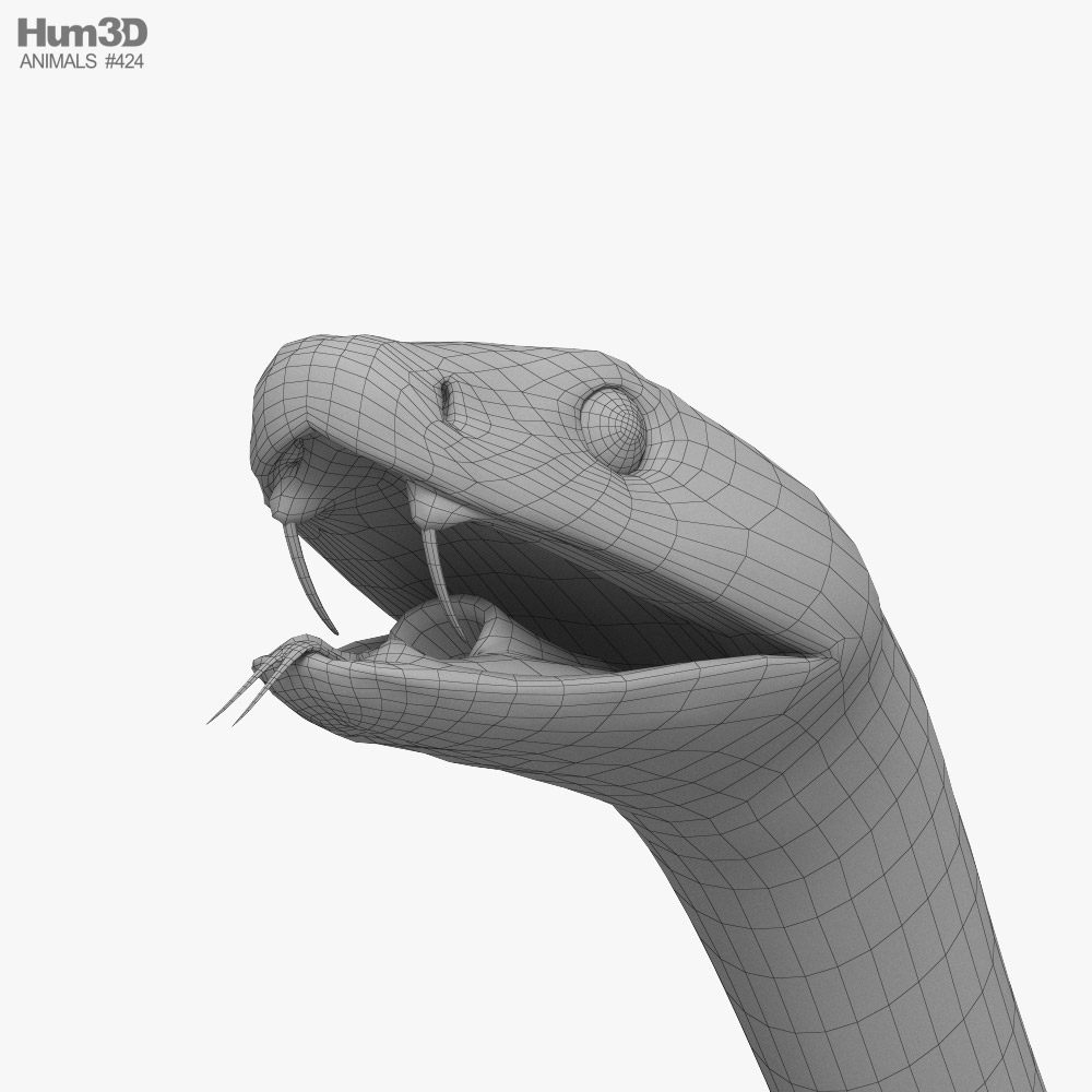 Черная мамба 3D модель - Скачать Животные на 3DModels.org