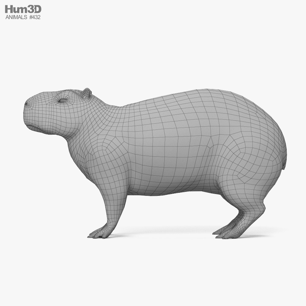 Capybara - Download Free 3D model by Rectus (@rectus) [445b5a9]